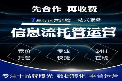 某企业SEM广告投放的ROI提升策略及效果展示